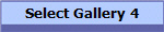 Select Gallery 4