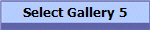 Select Gallery 5